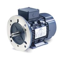 Motores electricos Leeson